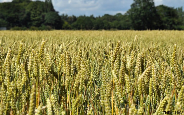 河北智飛極農無人機科技|一鳶科技|行業定制無人機